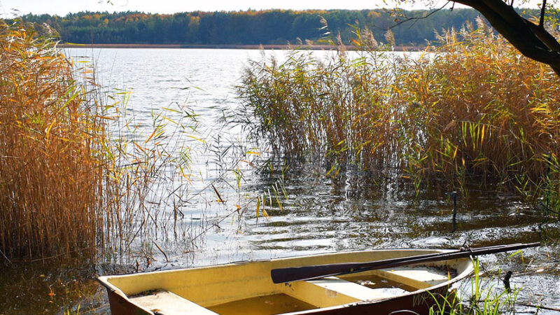 Agroturystyka Wielkopolskie