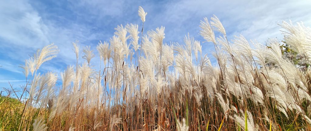 Agroturystyka Polska