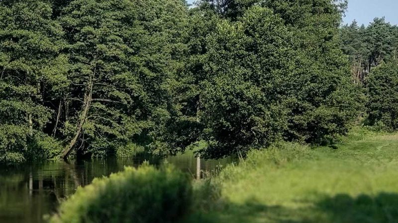 Rzeka Drwęca Agroturystyka