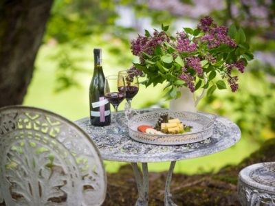 AGROTURYSTYKA TASZÓWKA