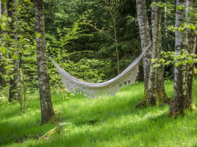 AGROTURYSTYKA TASZÓWKA