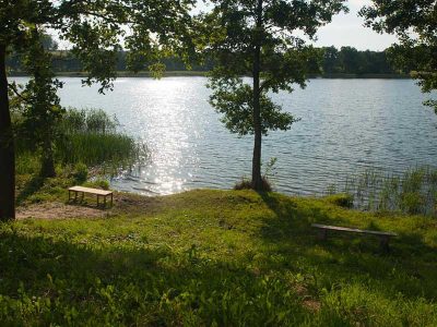 POKOJE GOŚCINNE ANNA I DARIUSZ ROZICCY