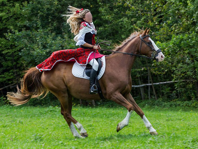 GOSPODARSTWO AGROTURYSTYCZNE POD SOŚLINĄ