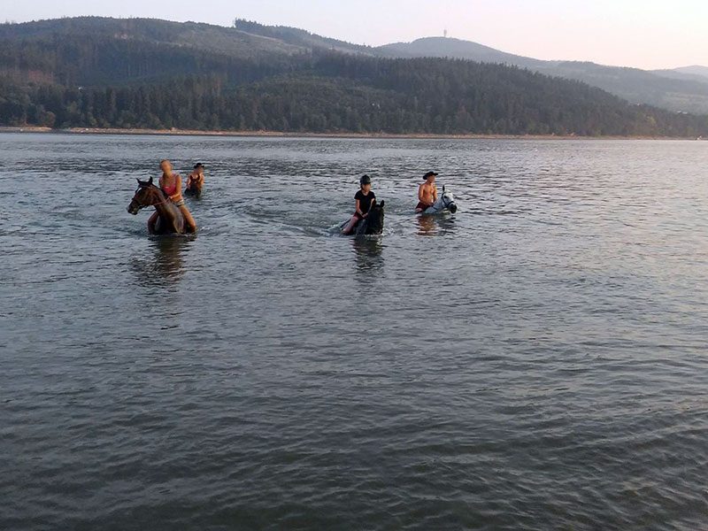 GOSPODARSTWO AGROTURYSTYCZNE POD SOŚLINĄ