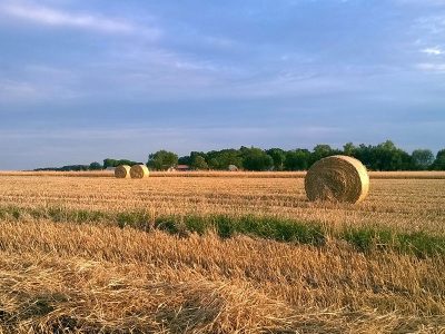 AGROTURYSTYKA U PAWŁA I ASI