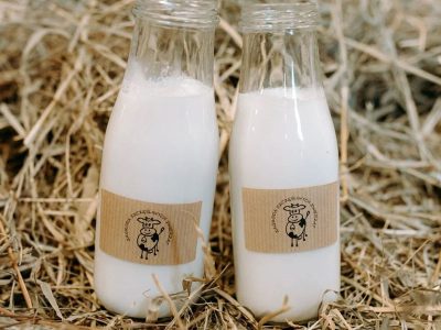 ZAGRODA SZCZĘŚLIWYCH ZWIERZĄT