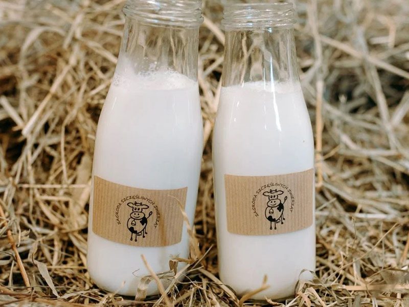 ZAGRODA SZCZĘŚLIWYCH ZWIERZĄT