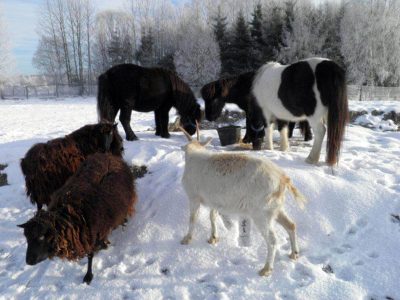 GOSPODARSTWO AGROTURYSTYCZNE RANCZO KUPAŁA