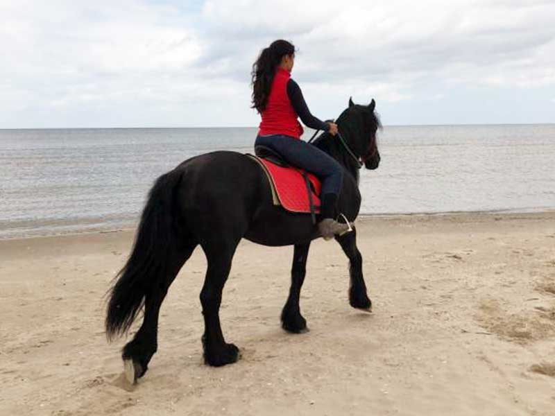 „FENIKS” AGRO & SPA