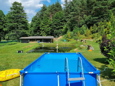 AGROTURYSTYKA LEŚNA OSTOJA BOREK