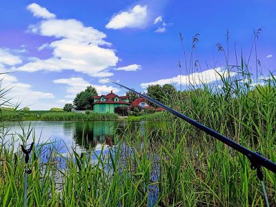 AGROTURYSTYKA GOLICE