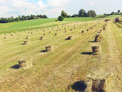 GOSPODARSTWO AGROTURYSTYCZNE SIEDLISKO W CHŁOPKOWIE