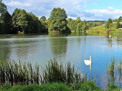AGROTURYSTYKA DWOREK JURAJSKI