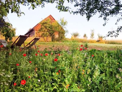 DOM GOŚCINNY POKRZYWNIK 11