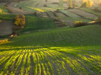AGROTURYSTYKA TAMIGA