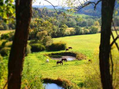 AGROTURYSTYKA ZACISZE OSŁAWY