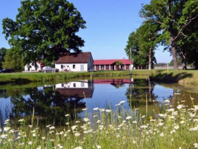 AGROTURYSTYKA ARIZMA POD DĘBEM