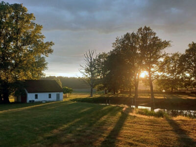 AGROTURYSTYKA ARIZMA POD DĘBEM