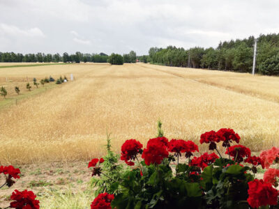 MACIEJÓWKA GOSPODARSTWO AGROTURYSTYCZNE