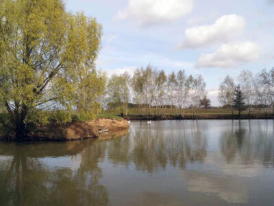 AGROTURYSTYKA GNIAZDO W FELICJANOWIE