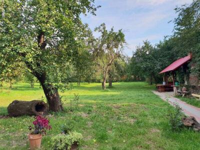 AGROTURYSTYKA POD WIŚNIĄ