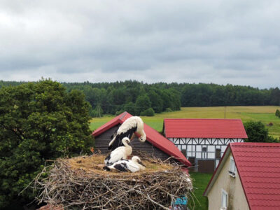 AGROTURYSTYKA RUKŁAWKI WASILEWSCY