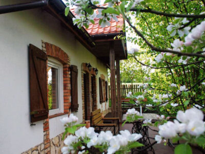 AGROTURYSTYKA NASZA WIOSKA