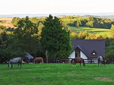 GOSPODARSTWO AGROTURYSTYCZNE DOM NA KRZEMIENICY