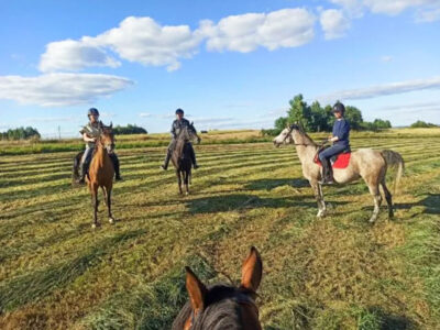 GOSPODARSTWO AGROTURYSTYCZNE DOM NA KRZEMIENICY