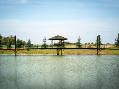 AGROTURYSTYKA NA WZGÓRZU