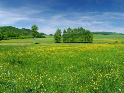 AGROTURYSTYKA SÓJKOWY ZAKĄTEK