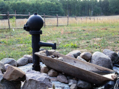 AGROTURYSTYKA KOCI GRZBIET