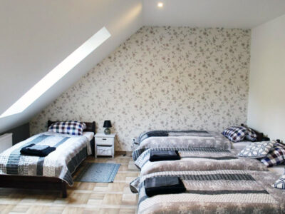 AGROTURYSTYKA KOCI GRZBIET