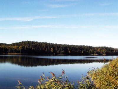 GOSPODARSTWO AGROTURYSTYCZNE RÓŻYCCY