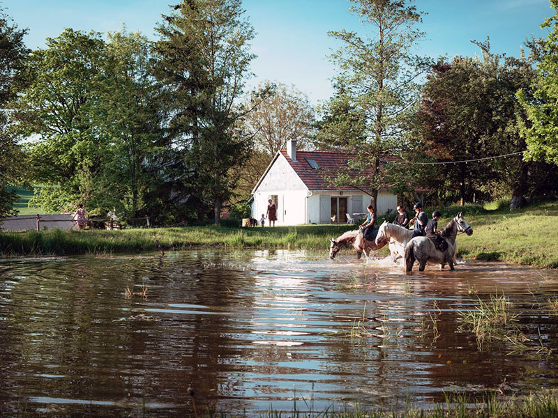 GOSPODARSTWO AGROTURYSTYCZNE AGRO PUSTELNIK