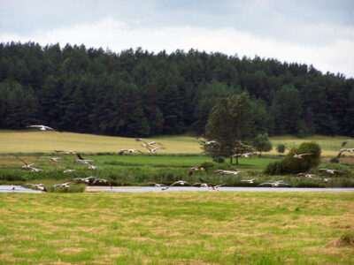 GOSPODARSTWO AGROTURYSTYCZNE ZIELONA DOLINA