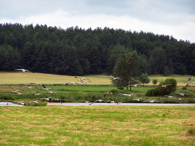 GOSPODARSTWO AGROTURYSTYCZNE ZIELONA DOLINA
