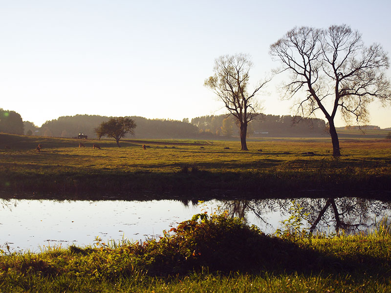 GOSPODARSTWO AGROTURYSTYCZNE ZIELONA DOLINA