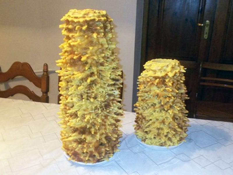 GOSPODARSTWO AGROTURYSTYCZNE JAĆWING