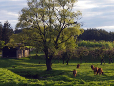 GOSPODARSTWO AGROTURYSTYCZNE ZIELONA DOLINA