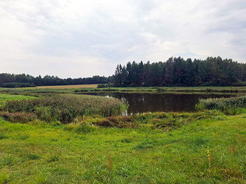 AGROTURYSTYKA PRZY RAJSKIM SADZIE