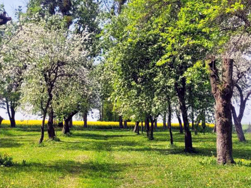 AGROTURYSTYKA PRZY RAJSKIM SADZIE