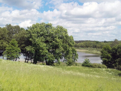 GOSPODARSTWO AGROTURYSTYCZNE ŁABĄDKOWO