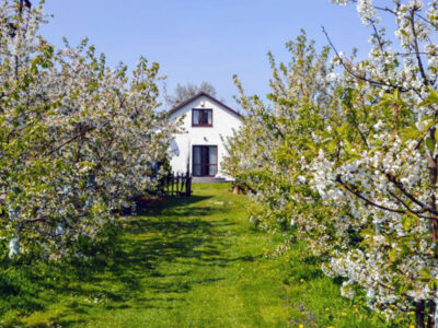 AGROTURYSTYKA CZEREŚNIOWY ZAKĄTEK