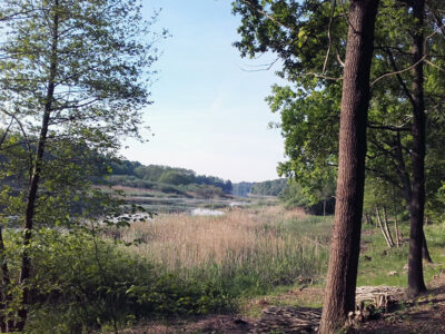 GOSPODARSTWO AGROTURYSTYCZNE ŁABĄDKOWO
