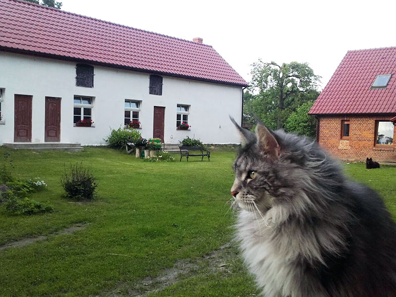 GOSPODARSTWO AGROTURYSTYCZNE ŁABĄDKOWO